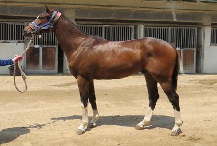 ��½��۸� ����