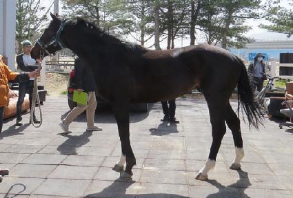 �ݾ��ݷμ� ����