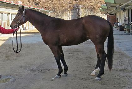 �۽�Ʈ�Ŀ� ����