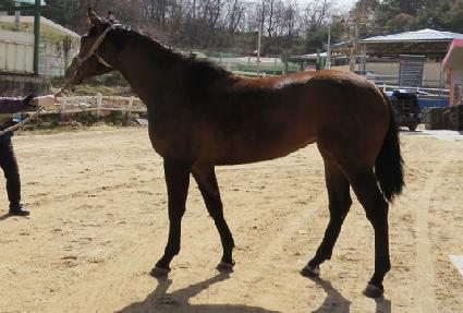 ��Ʈ���� ����