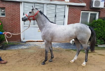 ��Ʈ����Ʈ ����