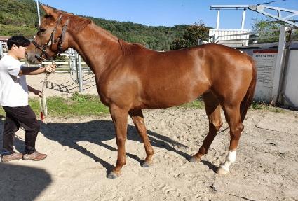 �ǽ��� ����