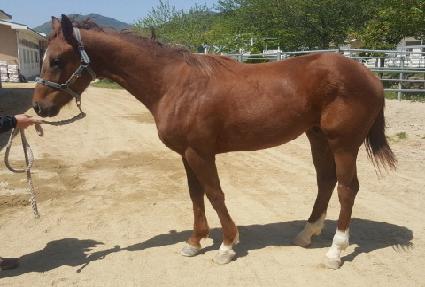 �ö���ŷ�� ����