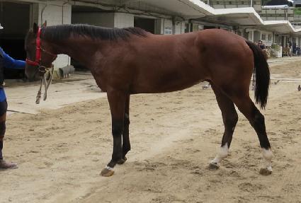 ������Ŀ� ����