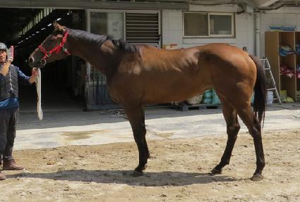 �̸���ī�� ����