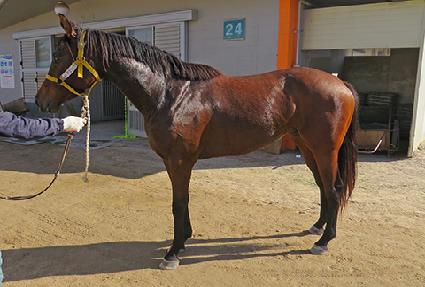 �йи���Ÿ ����