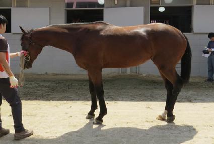 ���Ÿ�ĸƾ ����