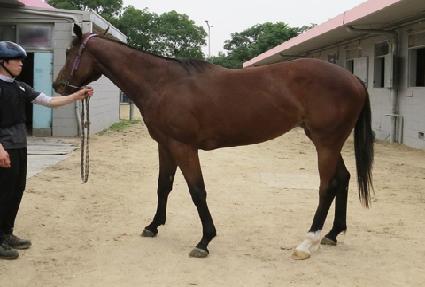 ��ī��Ÿ�� ����