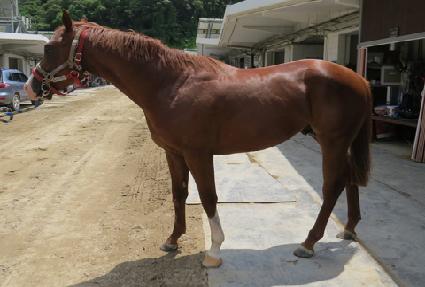 ���з����� ����