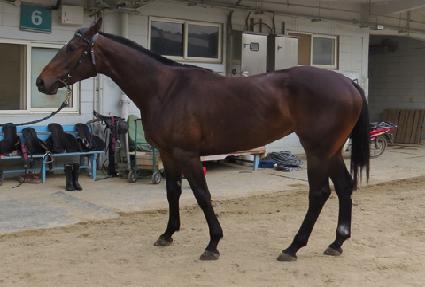 �׸���Ʈ ����