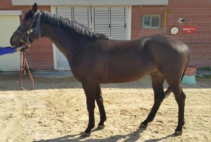 �����Ƿ��� ����