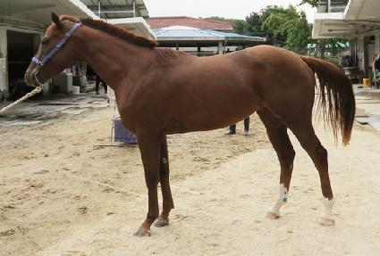 ȭ���� ����