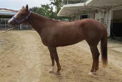 �帲�ɽ� ����