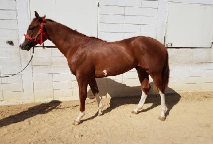 �ݾƹ븮��Ʈ ����