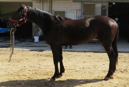 �����밭�� ����