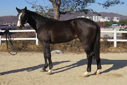 ���̵�� ����