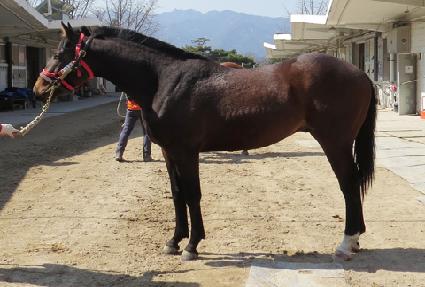 �������� ����