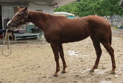 �����÷� ����