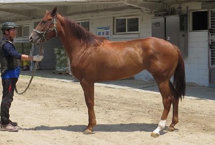 �����÷� ����