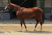 ��Ű�÷� (LUCKY PLAN) ����