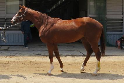 ��Ű�÷� ����