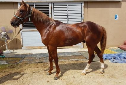 ������� ����