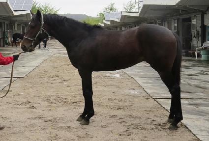 ��ŸƮ���� ����