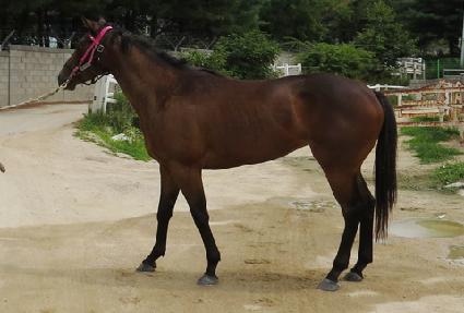 ����Ǯ����� ����