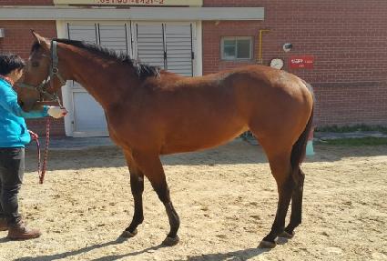 ��÷��� ����