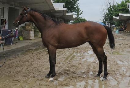 �������̽� ����