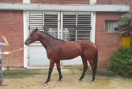 ���� ����