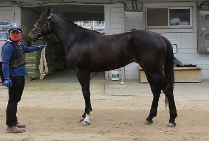 ��ġ�Ŀ� ����