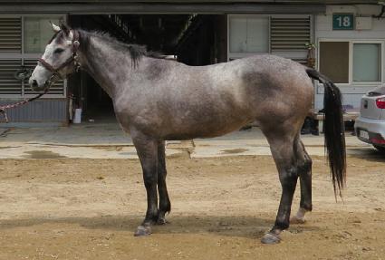 ���Ǹս� ����