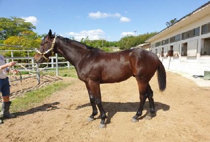 ���͸� ����