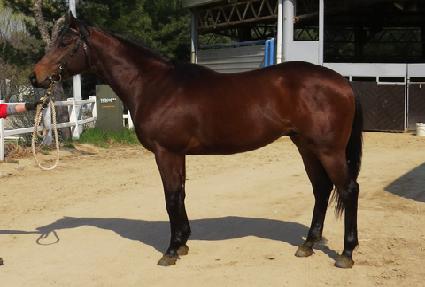 ���丶 ����