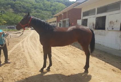 �ʽ����� ����