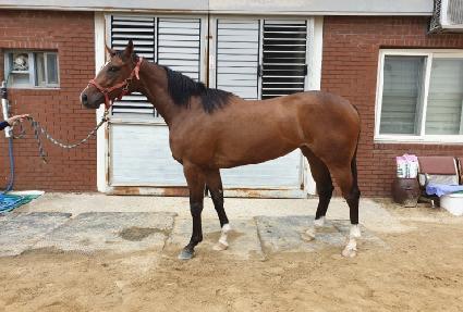 �����ö��� ����