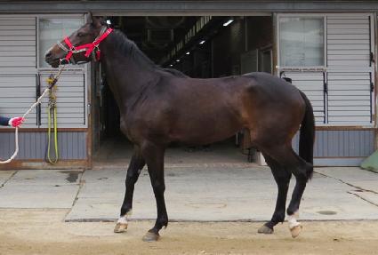 ž�� ����