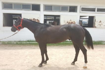 ���̳������� ����