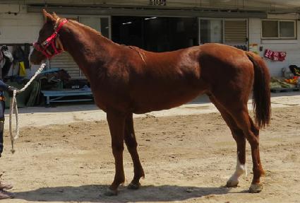 ��ǳ���� ����