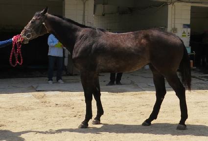 ���ҳ� ����