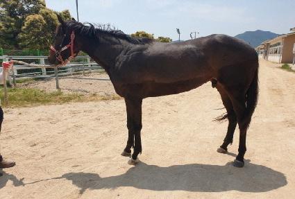 �ʵ��̸� ����