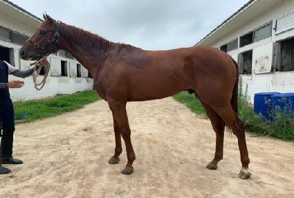 �麣��Ʈ ����