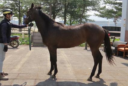 �Ŀ�Ÿ�� ����