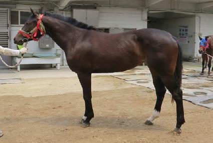 ����̾ȹ��� ����