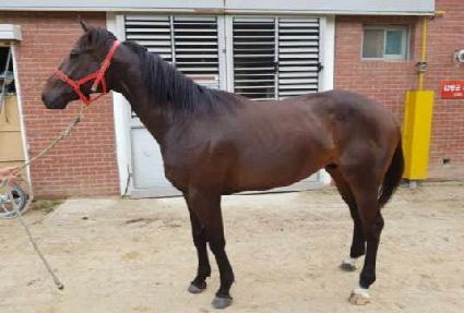 �������� ����