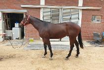 �������� (SEONGGONG JILJU) ����