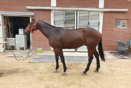 �������� ����