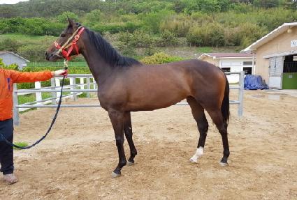 ��ĵ���� ����