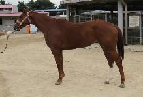 �����ǿ��� (DAEJIUI YEOIN) ����